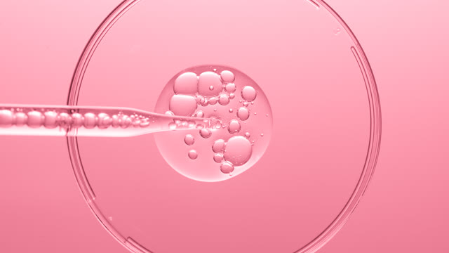 Petri dishes